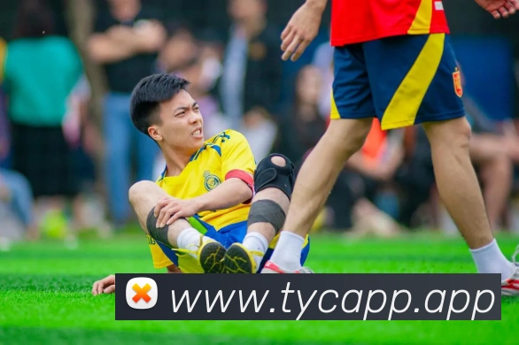 太阳城服务体系